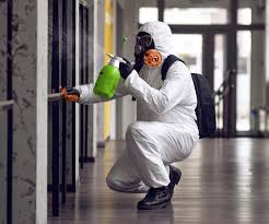 Best Biohazard Mold Removal in Sherman, TX